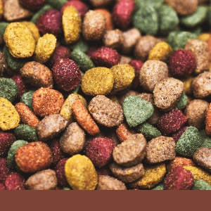 Quelle gamme de croquettes privilégier pour un chien sensible ?