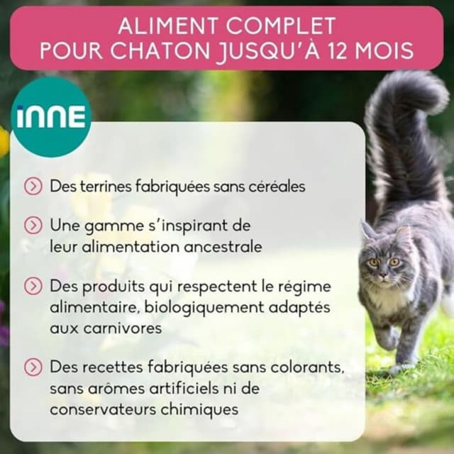 Chaton Rivets Nutrivet Inne : Terrine au poulet pour chaton